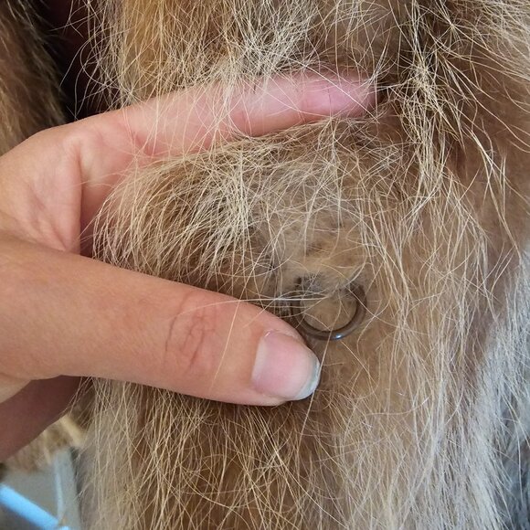 Vintage Dasco Fur Coat - Picture 4 of 11